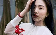 沈青鸾风璃宸神医弃妃